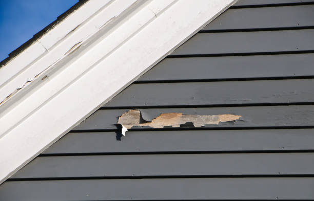 Best Construction Debris Removal  in Sumner, IA
